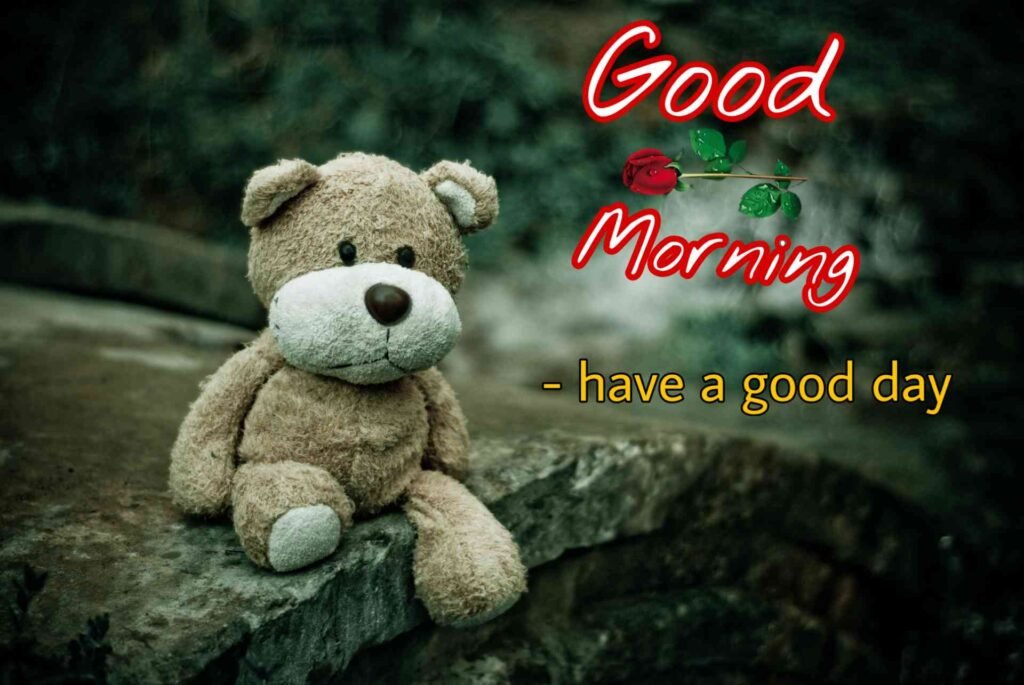 Teddy Good morning images whatsapp wishes morning sunshine Teddy amazing photography 50_3.